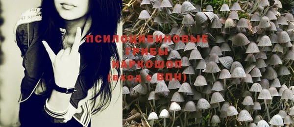 трава Белоозёрский