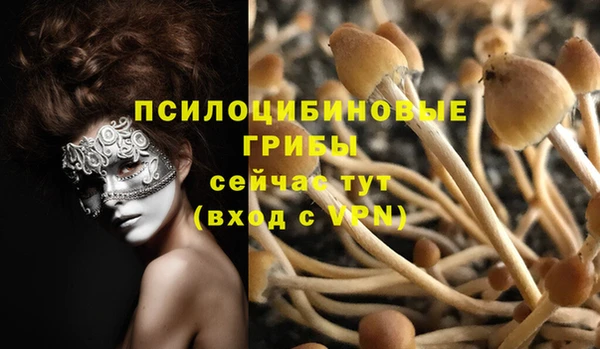 мескалин Белокуриха
